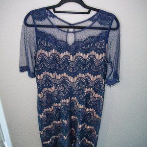 LN Lace & Mesh Navy Dress